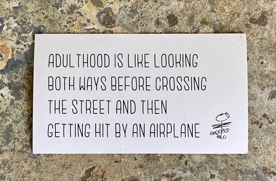 Hit by an Airplane Magnet