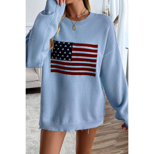 Knit Round Neck Flag Print Loose Fit Sweater: BLUE