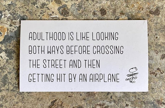 Hit by an Airplane Magnet