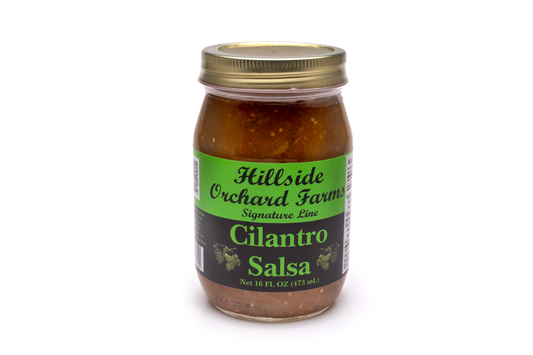 Cilantro Salsa