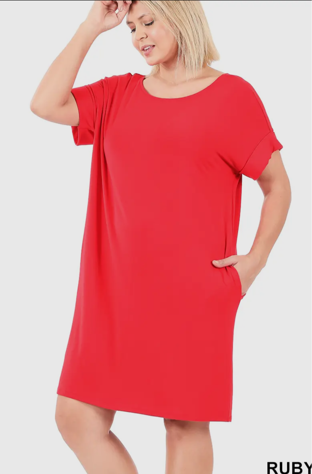 Plus size solid cuffed sleeve round neck 2x