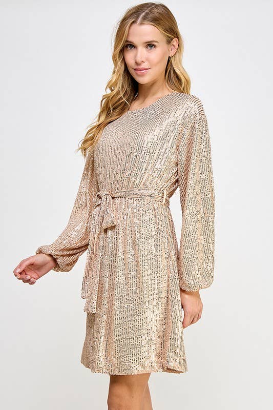 Long Sleeve Sequin Dress: GOLD
