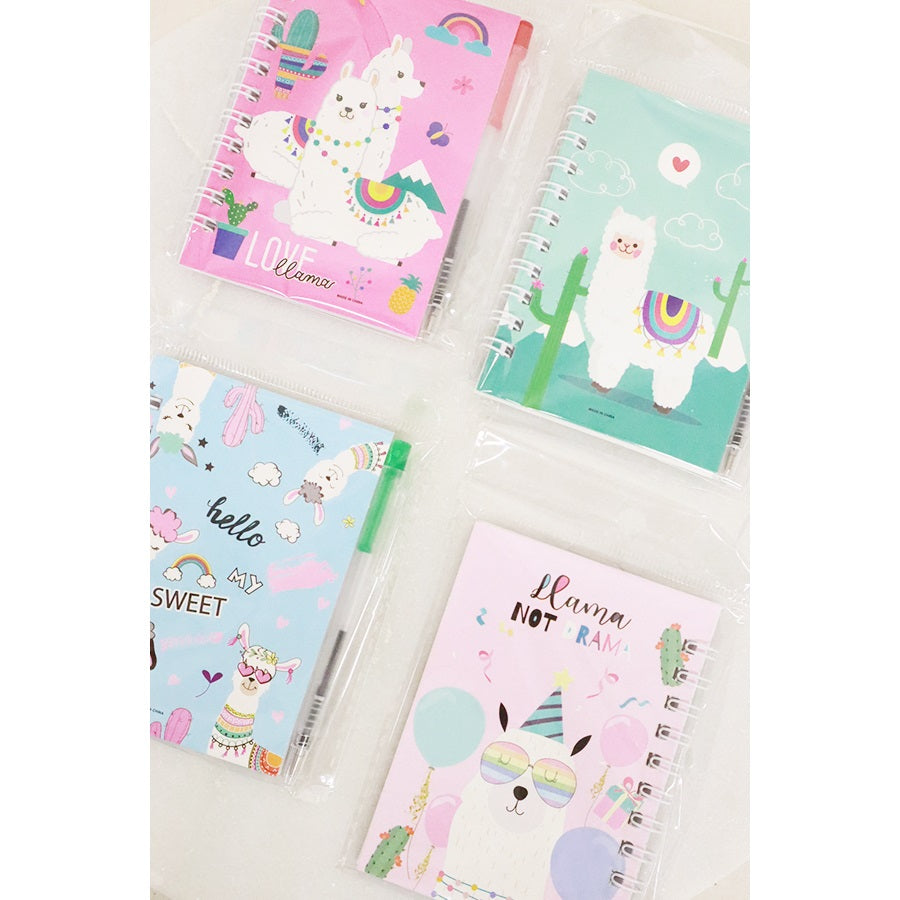 Assorted Notebook and Pen Set